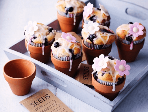 Flowerpot Blueberry Muffins